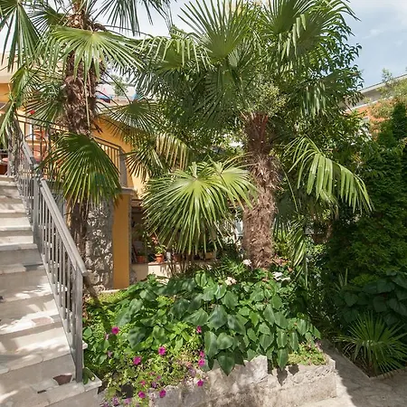 Center Ziric * Opatija