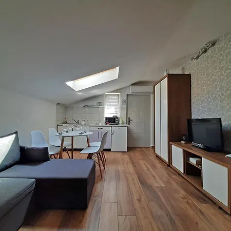 Center Ziric * 奥帕提亚